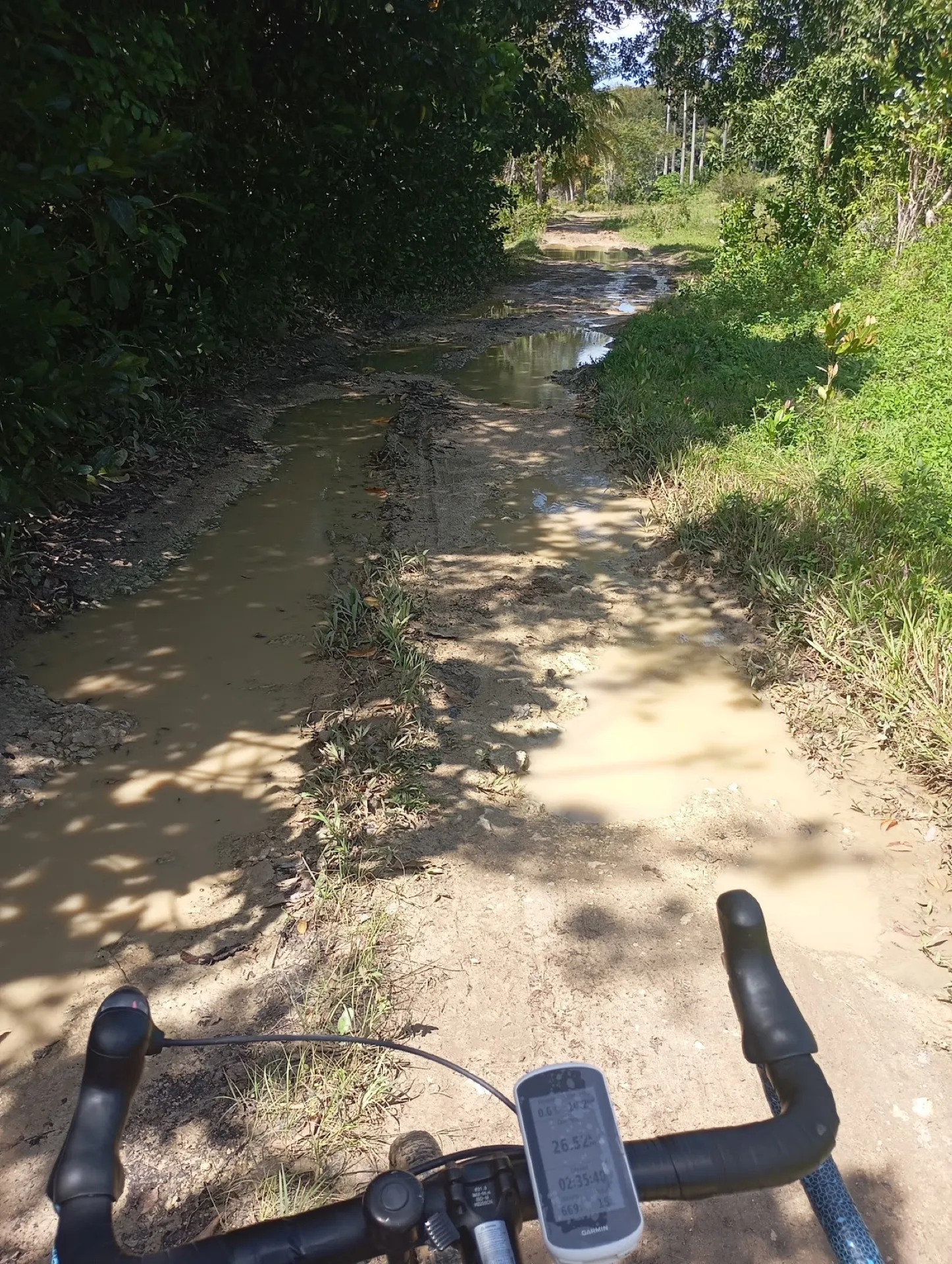 Muddy puddles across the Coconut Road inland trail after rain, gravel bike POV with Garmin computer mounted