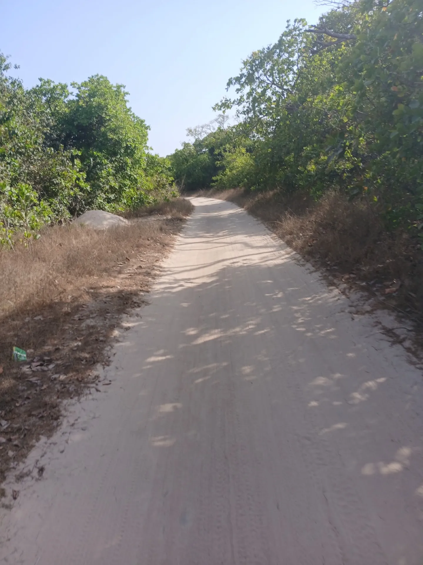 Sandy section of the inland Coconut Road on Siargao, dappled light through trees
