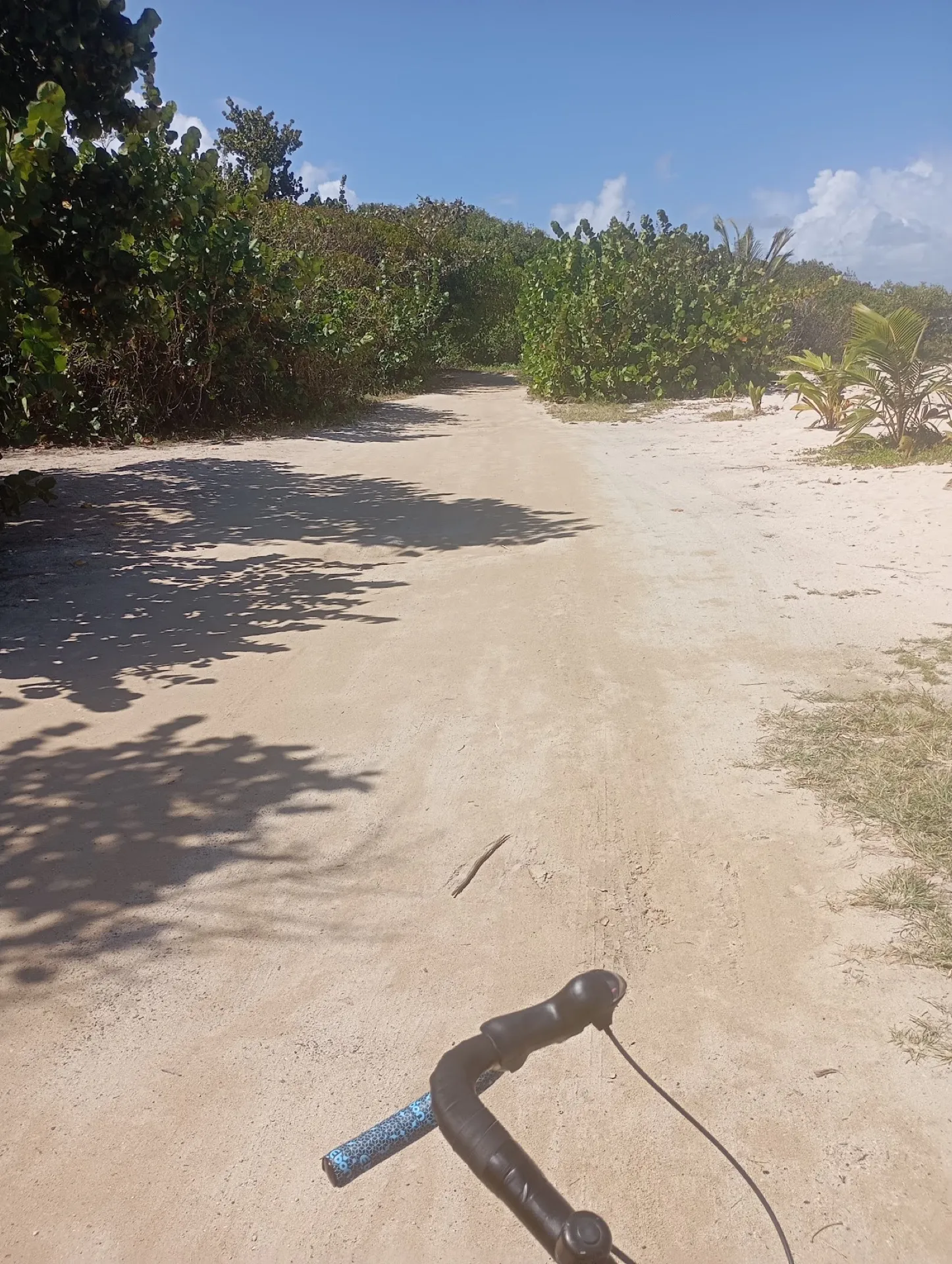 POV from a gravel bike on a sandy coastal trail near General Luna on Siargao, sea-grape bushes on the side