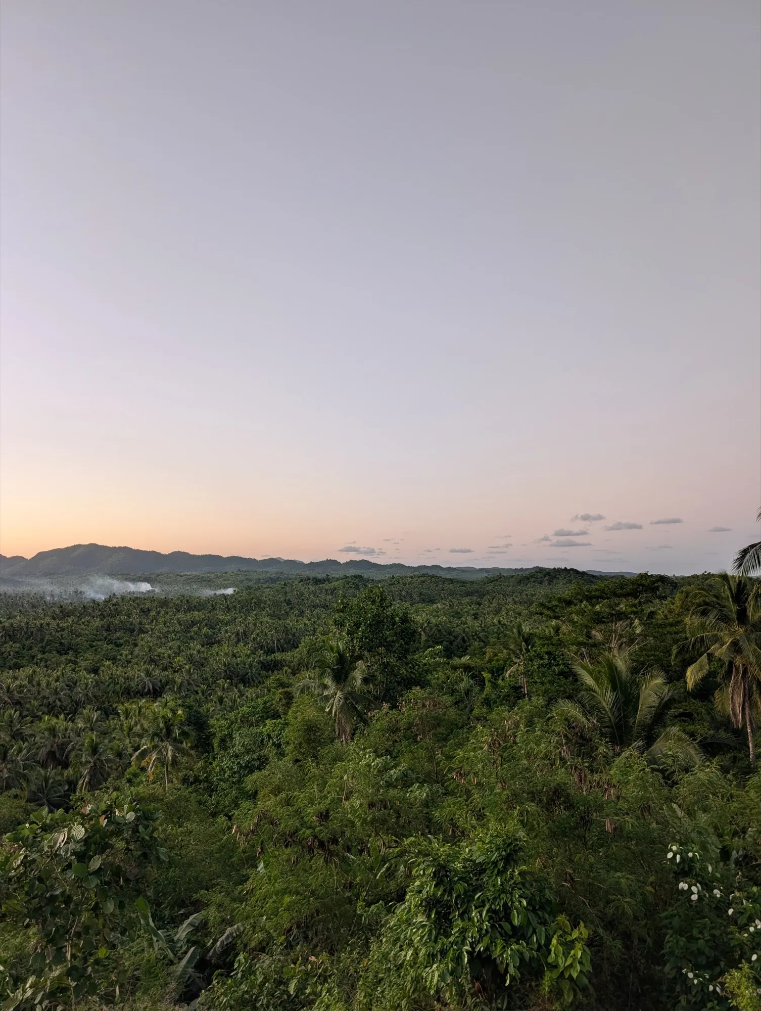 Sunset view over the coconut groves and rolling hills of Siargao from a viewpoint along the Coconut Road
