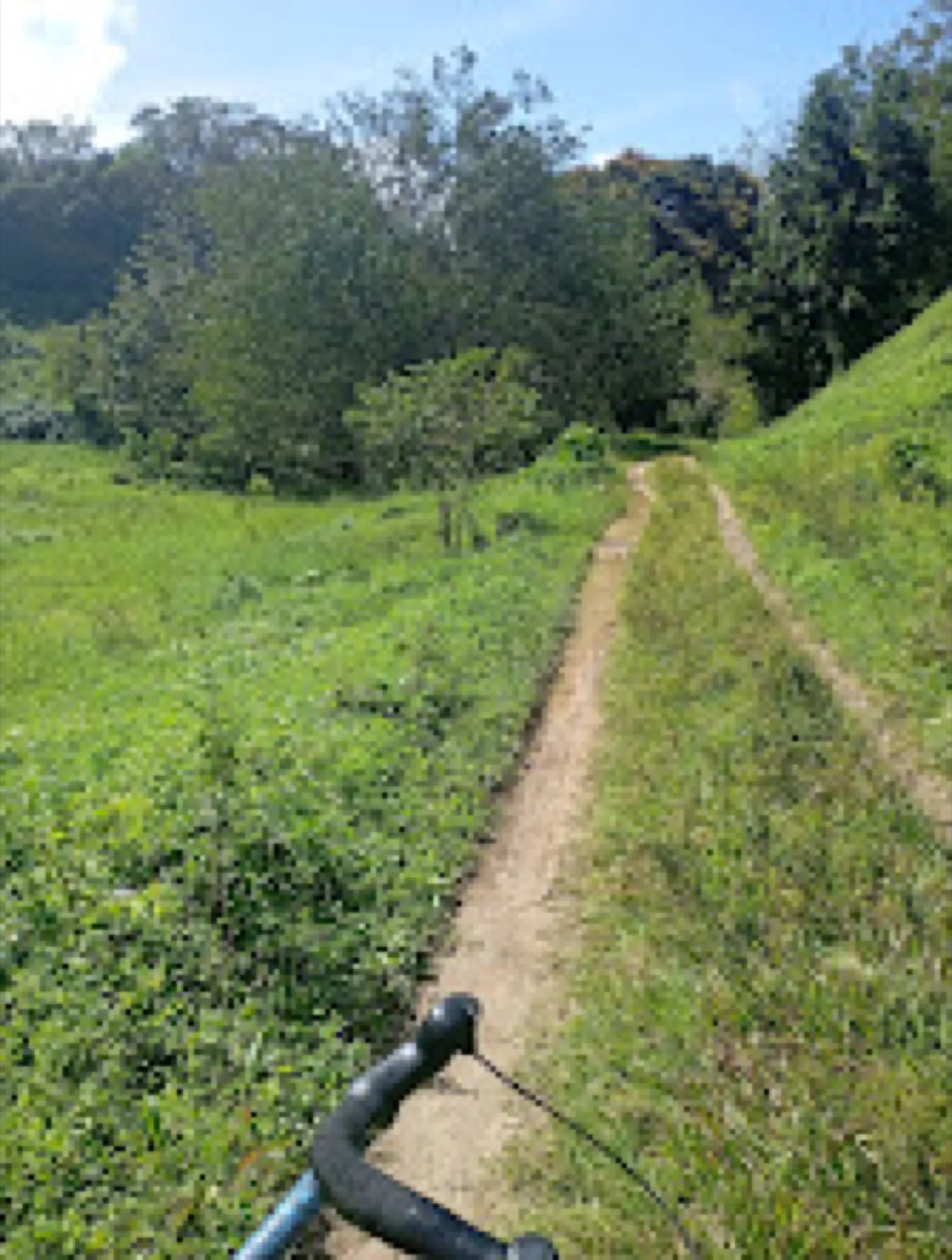 Narrow grassy singletrack winding through a vivid green clearing near General Luna, Siargao